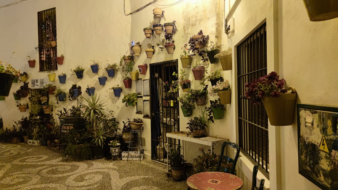 Dinner show restaurant atmosphere Málaga