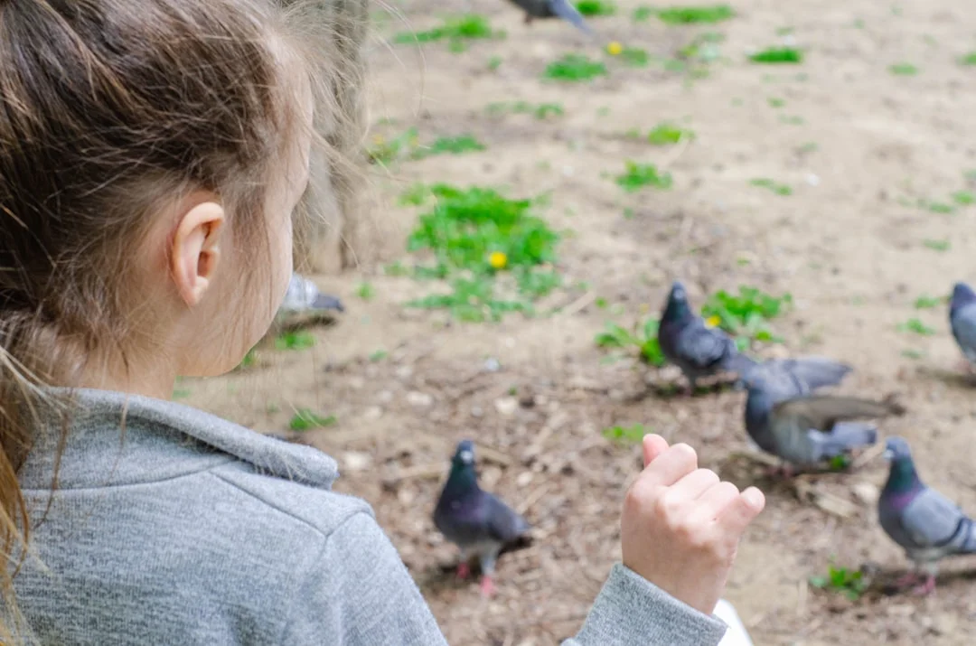 Der 60.000 Quadratmeter große Naturpark – das perfekte Familienausflugsziel für das Wochenende in Málaga