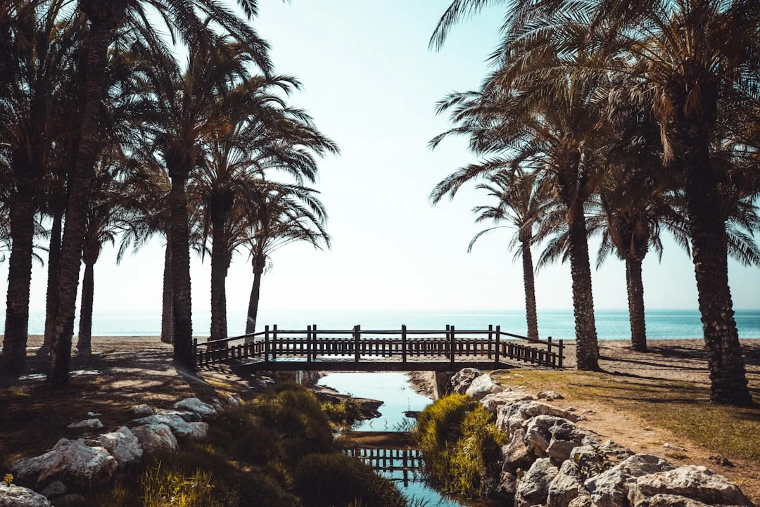 Malaga Palmeral port sunbathers
