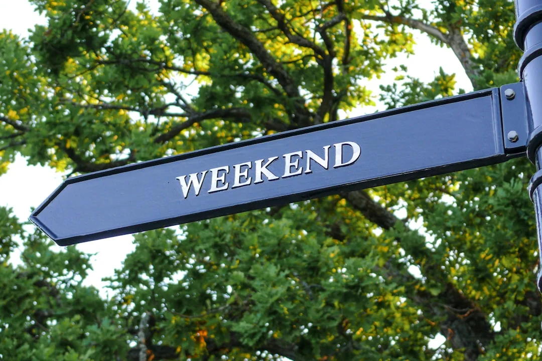 Long Weekend Guide: Gastronomy, Festivals, and the Return of the AVE