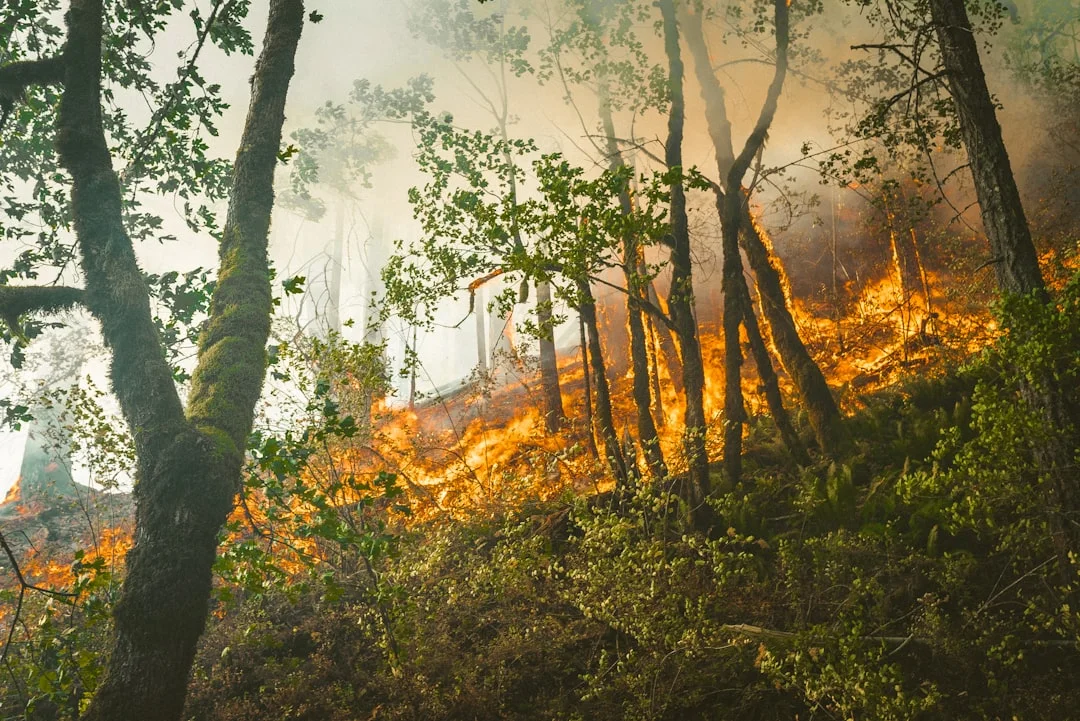 forest fire fighting technology