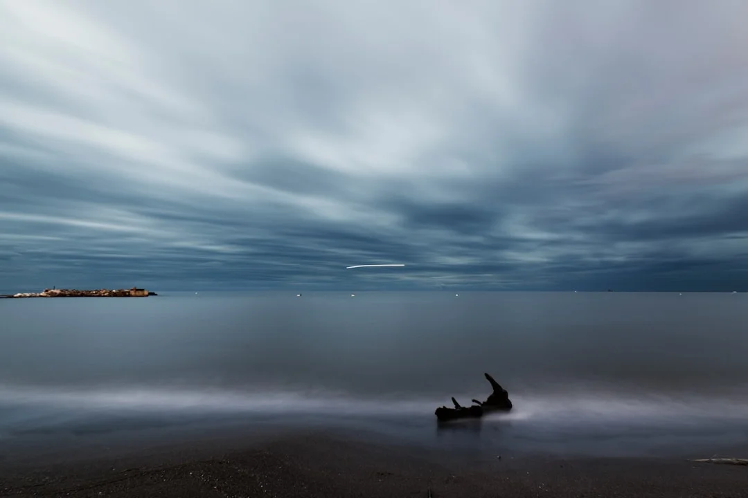 Guadalhorce estuary Malaga
