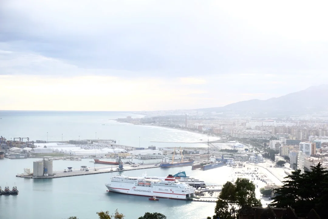 Malaga port traffic