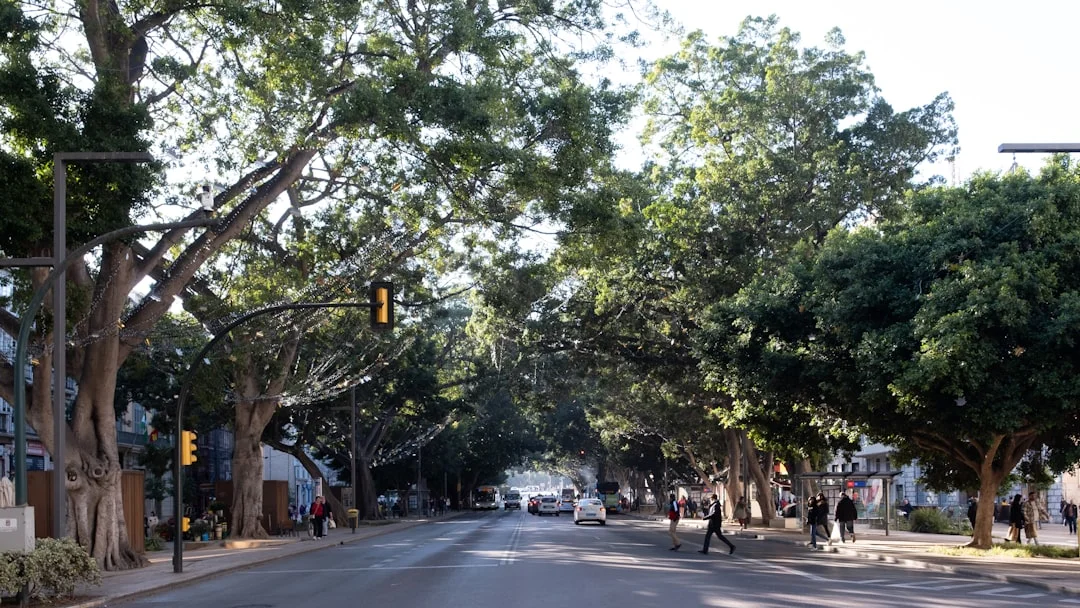 Malaga city street construction completed