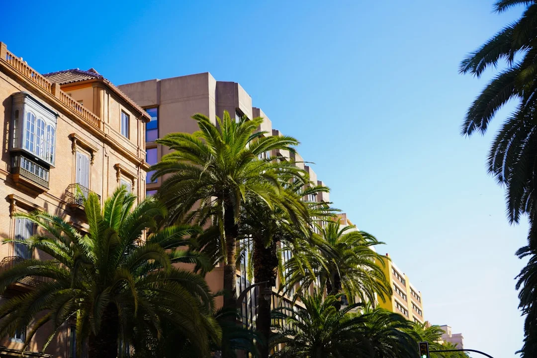 Málaga Hotel Boom: Neue Projekte nahe der Avenida Juan XXIII