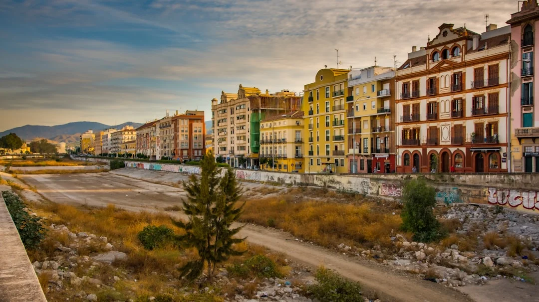 Plaza de la Merced Malaga tapas art