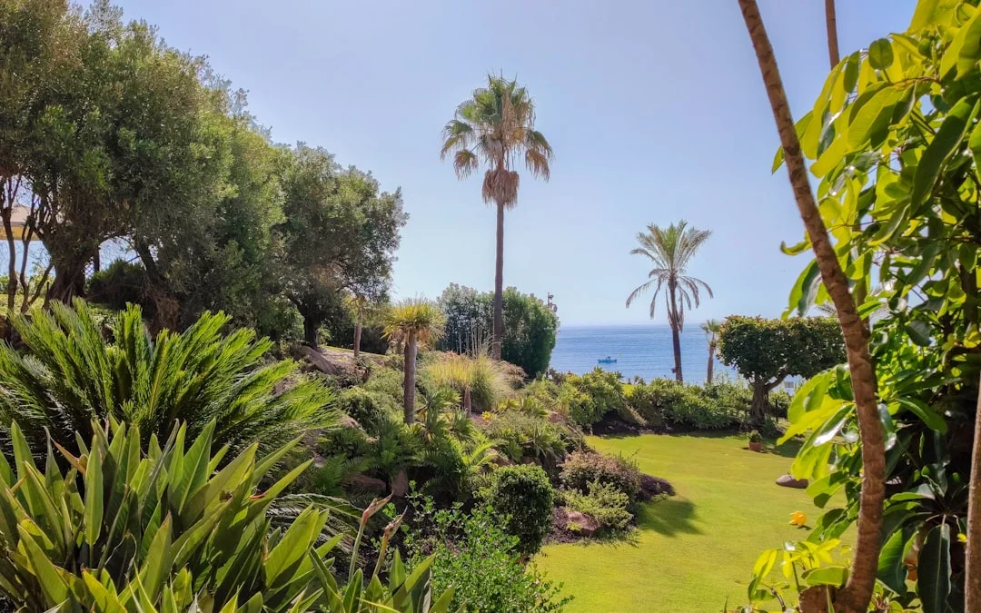 Hotelauslastung an der Costa del Sol übersteigt im August die 90 %-Marke