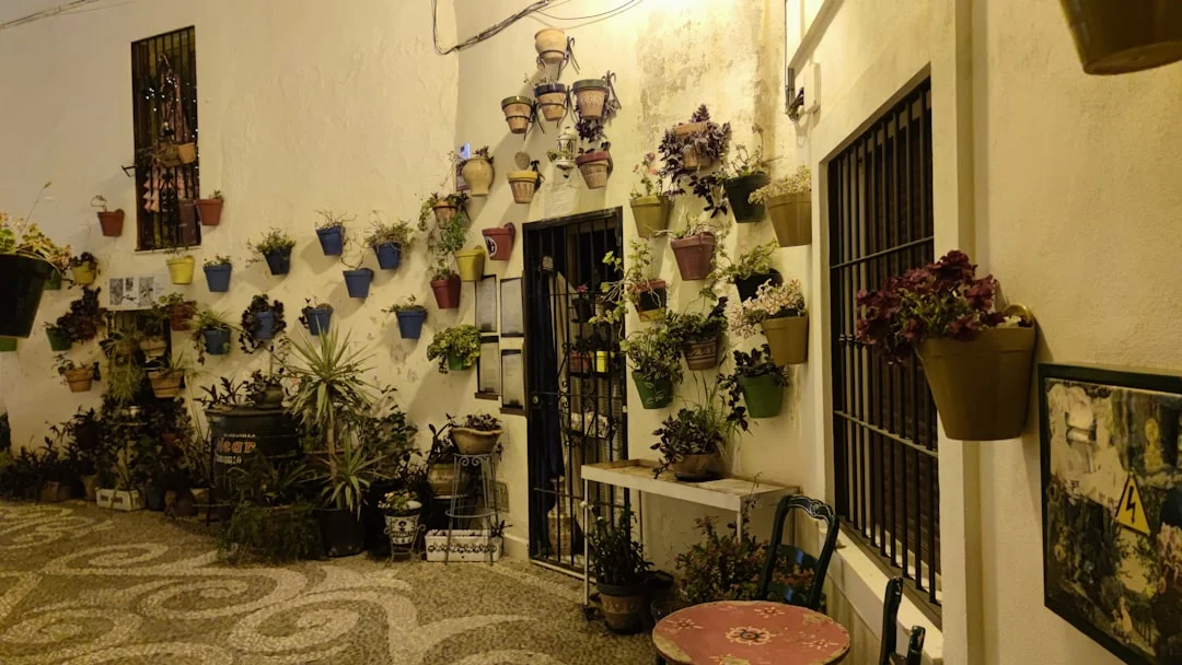 4 Restaurants in Málaga unter die besten Terrassen Spaniens gewählt