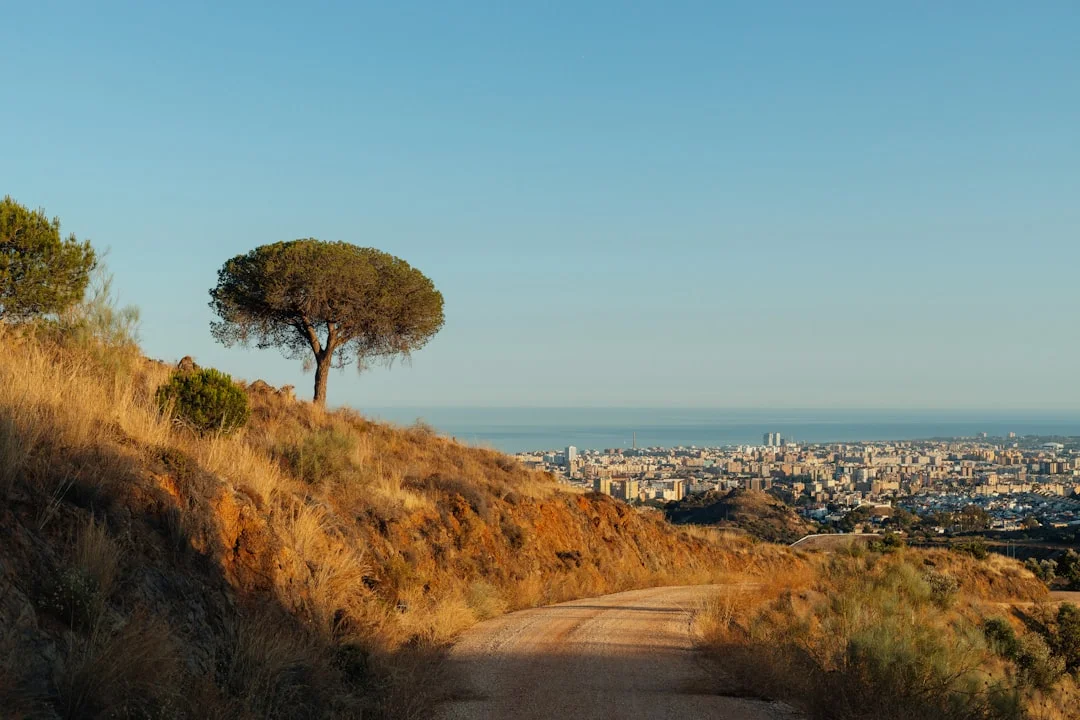 Wetter in Málaga: Schwüle Nächte und Calima-Staub in der Luft