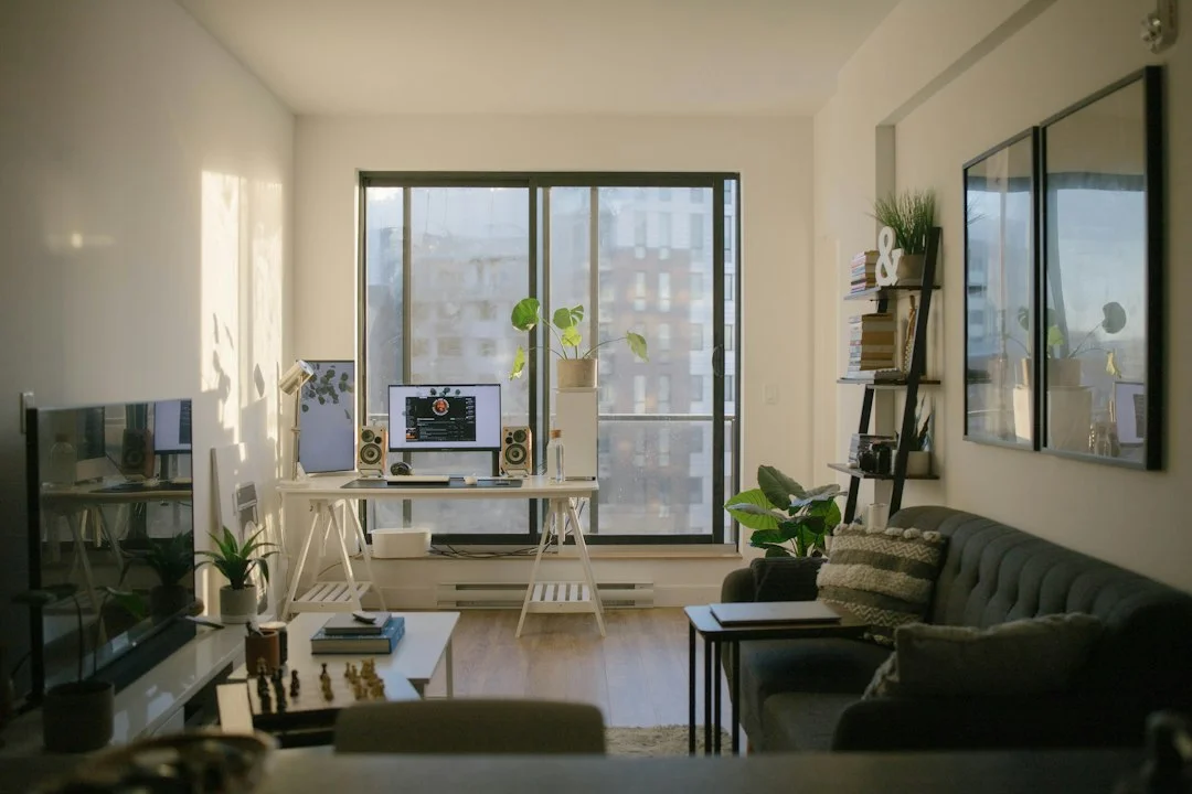 cozy living room apartment sunlight