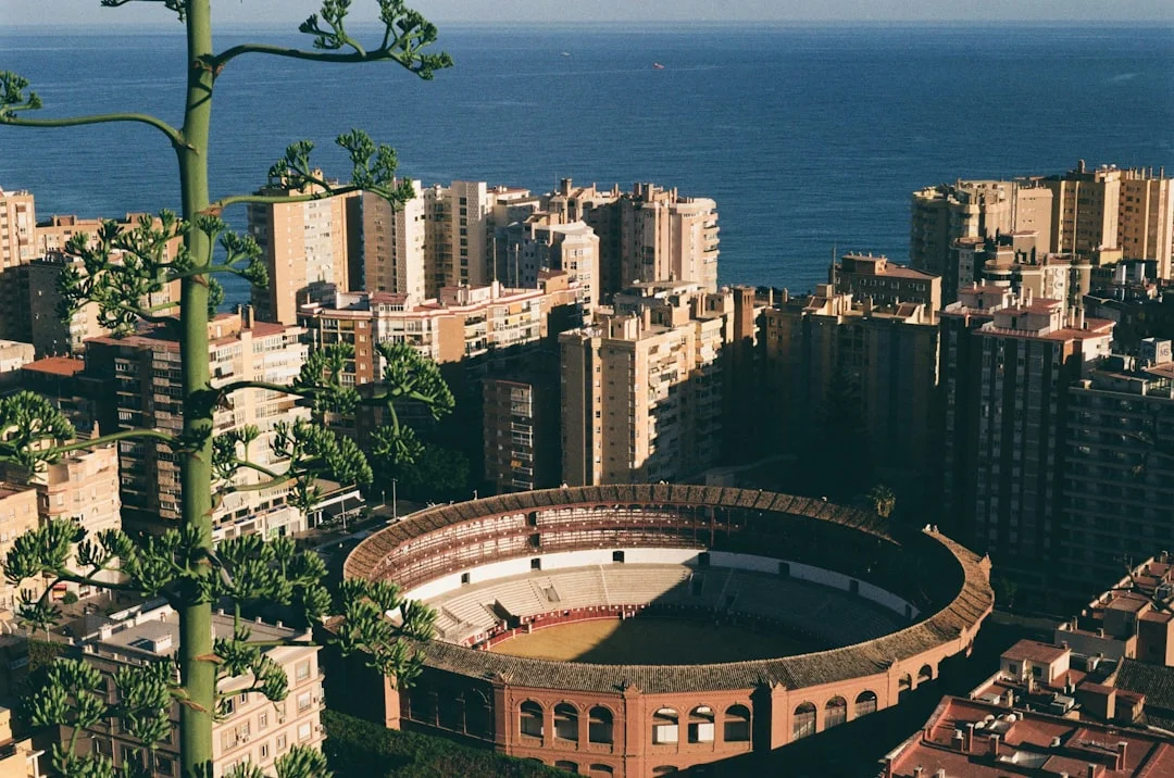 Malaga CF La Rosaleda stadium