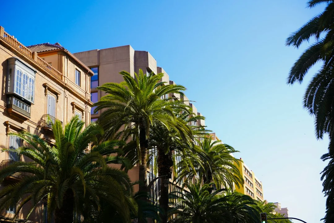 Immobilienpreise in Málaga steigen in allen Stadtbezirken drastisch an