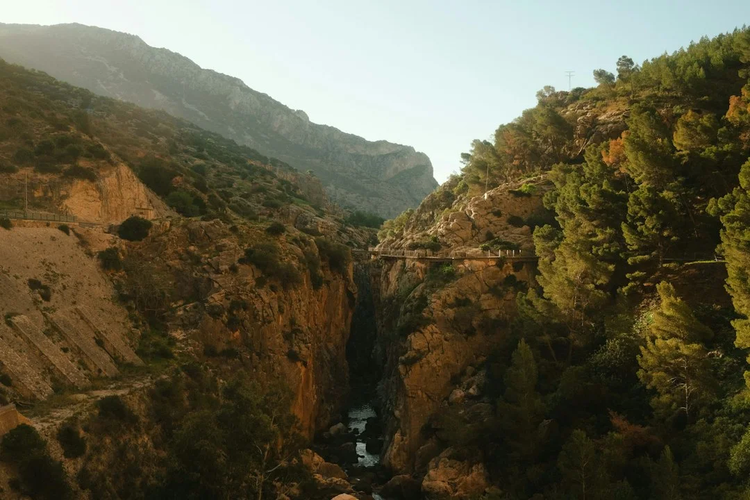 Autofreie Wanderungen nahe Málaga – Erreichbar mit Bus und Bahn
