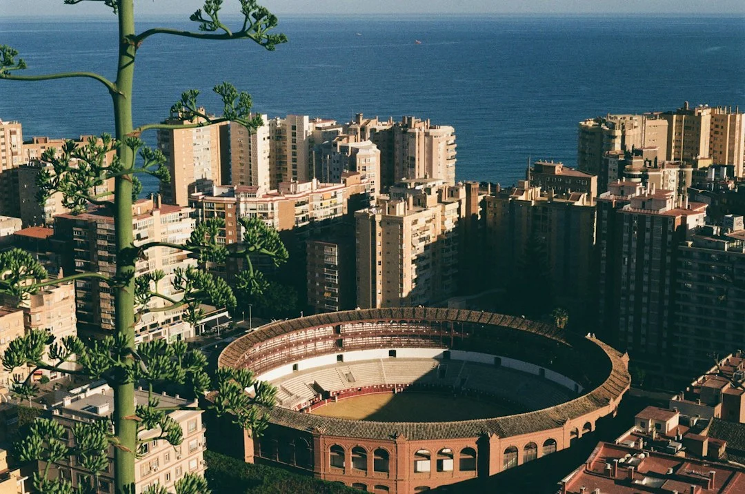 basketball court arena malaga spain