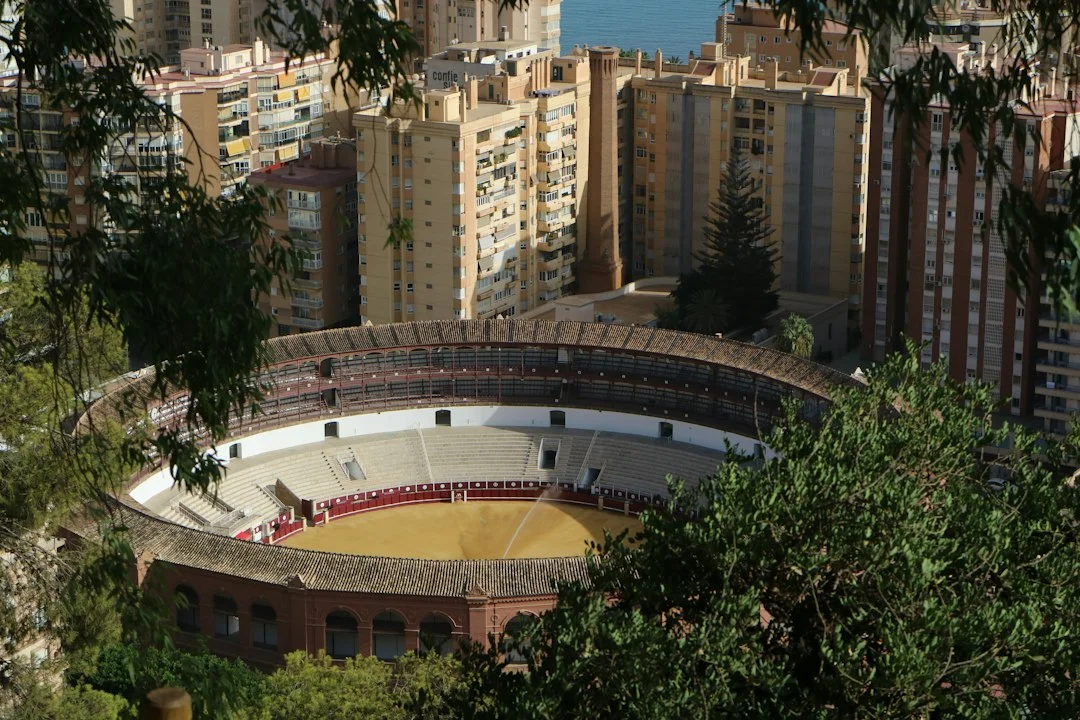 Wie Sie als Expat in Málaga Padel spielen